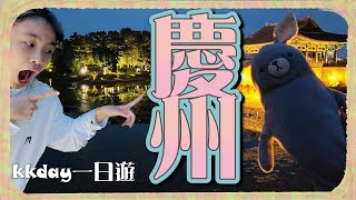 參加kkday的慶州一日遊好玩嗎？皇理團路｜大陵苑｜佛國寺｜慶州校村｜雁鴨池 [upl. by Agostino]