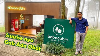 Review Bobocabin Coban Rondo Pujon Malang  Sunrise dan Cabin dibawah Hutan Pinus [upl. by Haneehs]