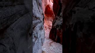 hiking Buckskin Gulch in Utah hiking outdoors utah shorts nature [upl. by Fang]