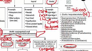 Gastroenterología  5 RM19 2V GASTROENTEROLOGIA ICTERICIA COLESTASIS HEPATITIS [upl. by Poyssick887]