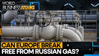 Russia becomes EUs secondbiggest LNG supplier amid sanctions  World Business Watch [upl. by Nyladnar54]