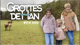 Exploring the wildlife park of the caves of Han in the Belgian Ardennes ⎮ hiking tour with kids [upl. by Shoshanna]