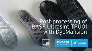 Postprocessing of BASF Ultrasint TPU01 with DyeMansion [upl. by Gerbold]