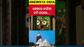 ମହାପ୍ରଭୁ ଜଗନ୍ନାଥଙ୍କ ଜମିର ହେବ ଖୋଳତାଡ଼ Jagannaths Land in Puri OdishaNews PuriNews OdiaNews [upl. by Margetts]