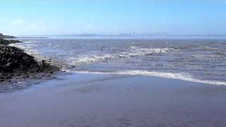 Tsunami in San Francisco Bay March 11 2011 [upl. by Aehsan]