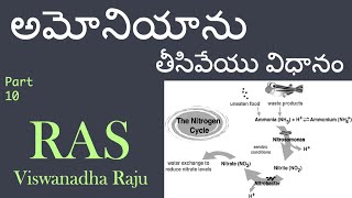 Ammonia removal from RAS  అమోనియాను తీసివేయు విధానం  10 [upl. by Gavin]