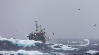 😳 🌊⚓️DRAMATIC Film of Fishing Vessel in Heavy Sea storm trawler fishing [upl. by Georges138]