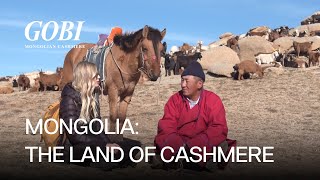 GOBI Cashmere  Mongolia The Land of cashmere [upl. by Ecirum]