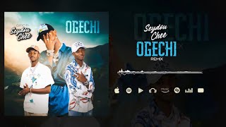 SEYDOU CHEE  OGECHI  REMIX  2024 [upl. by Raphael718]