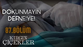 Kızlar mafyanın elinden kurtulabilecek mi  Kırgın Çiçekler 87Bölüm [upl. by Thill]