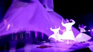 World Sufi Spirit Festival 2014  Jodhpur [upl. by Grannie]