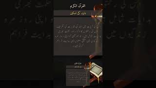 Quran Dil Ki Taskeen urdu quran qurantafseer [upl. by Dettmer]