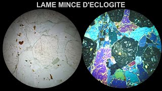 Eclogite Immersion 360° LPnA vs LPA x40 [upl. by Laro998]