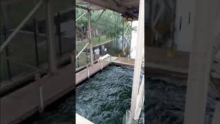 HURRICAN HELENE Town N Country Canal Level Rising tampa florida hurricane floridastorm weather [upl. by Gayel]