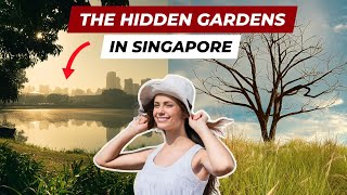 Jurong Lake Gardens COMPLETE Walking Tour  LAKESIDE GARDEN [upl. by Mimi]