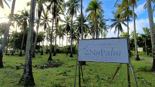 Nu Palm Beach Resort in San Narciso Quezon [upl. by Kimmi5]