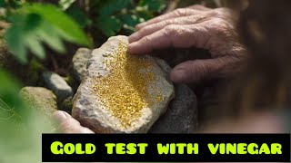 I Cant believe this worked so well  test gold with vinegar [upl. by Arit574]