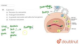 A provirus is [upl. by Areid]