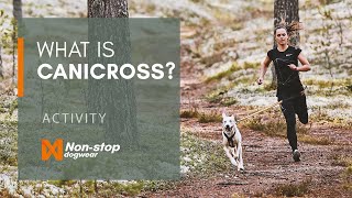 What is canicross Guide to running with your dog [upl. by Xylon]