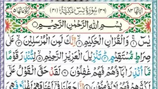 SURAH YASEEN REACTION QURAN SHARIF  DAILY YASEEN MUSHK VIDEO RAHMAN [upl. by Liv]