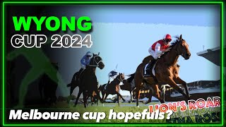 2024 Wyong Cup   Lion’s Roar Medatsu Etna Rosso [upl. by Yborian]