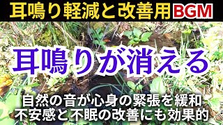 【耳鳴り治療音】自律神経を整える音耳鳴り 不眠 不安感 せせらぎ音 [upl. by Claudetta82]