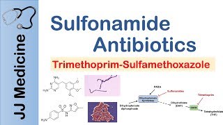 Sulfonamide Antibiotics  Bacterial Targets Mechanism of Action Adverse Effects [upl. by O'Driscoll184]