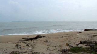 Beachfront Land For Sale in Khanom  Thong Node [upl. by Ahsiryt]