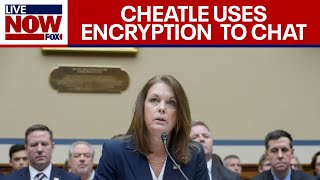 Secret Service Cheatle admits to using encryption devices to communicate  LiveNOW FOX [upl. by Sucitivel]