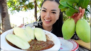 EASY DIPPING SAUCE FOR SOUR FRUITS  SASVlogs [upl. by Enialahs]