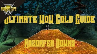 Razorfen Downs Gold Farming  The Ultimate WoW Gold Guide [upl. by Dalt]