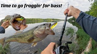 Time to go froggin’ for bassCrazy Frog Big Bass Fishing [upl. by Suirradal]