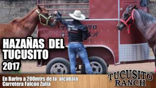 CESAR REYES  EL TUCUSITO  HAZAÑAS  2017 [upl. by Acirre749]