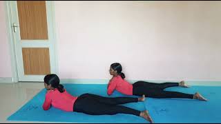 Benefits of Makarasana✨ Yogasisters Thiruvarur ❤️yoga [upl. by Concha]