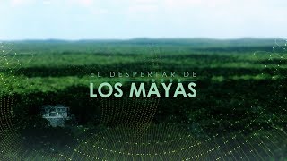 El despertar de los mayas [upl. by Nortna24]