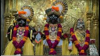 SWAMINARAYAN  6 DHAM DEVO NA DARSHAN DAILY DARSHAN [upl. by Eegnat]