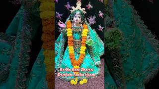 Radha Rani Charan Darshan mathuravrindawan shortvideo subscribe short love song statusshorts [upl. by Htnicayh]