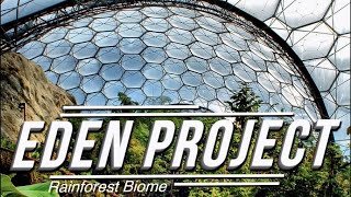 4k Walk Through Eden Project Cornwall Rainforest Biome Featuring The Seed  Relaxing DJI Osmo Pocket [upl. by Irehs]