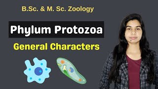 Phylum Protozoa  General Characters  B Sc  M Sc  Zoology [upl. by Ennayehc]