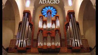 Franz Liszt ADAGIO [upl. by Sihun732]