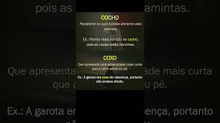 Cocho x Coxo gramática português linguaportuguesa palavras vocabulário semantica [upl. by Merrily]