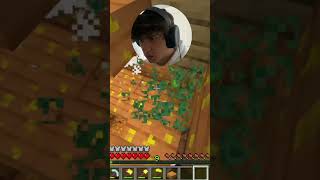 I Got Attacked By Vindicators minecraft moddedsurvival gaming funny minecraftgaming [upl. by Kenlee705]