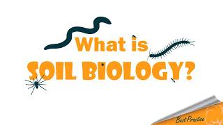 What is soil biology [upl. by Haidadej]