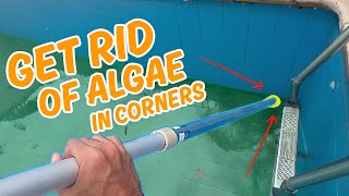 How to remove pool algae with a DIY pool cleaner that reaches every nook [upl. by Favien]