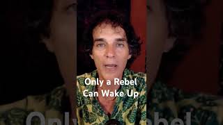 Only a Rebel Can Wake Up awakening liberation freedom ramanamaharshi wwwliberationiscom [upl. by Elleirb]