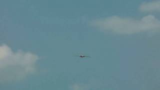 UAV Fulmar Aerovision 2010 Net Landings [upl. by Aneram593]