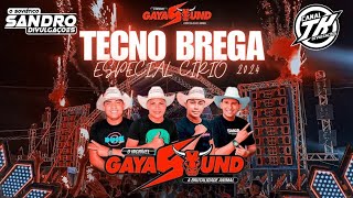 🤟🏿SET TECHNO BREGA GAYA SOUND ESPECIAL DO CÍRIO [upl. by Cleavland]