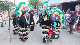 LA MATANZA DEL VIEJO  Danza Guadalupana los Gutierrez [upl. by Nerak534]