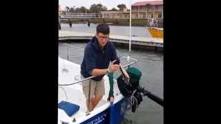 Sailing Serenity How To Install A Transom Mount Sonar On A Sailboat [upl. by Dwain709]