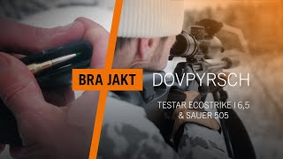 Pyrschjakt på dovvilt  Premiär med Sauer 505 och Ecostrike 65  BRA JAKT [upl. by Halihs628]